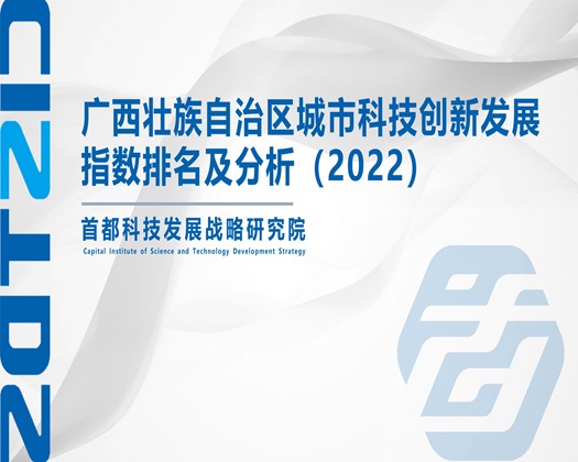 操老女人的逼播放视频【成果发布】广西壮族自治区城市科技创新发展指数排名及分析（2022）